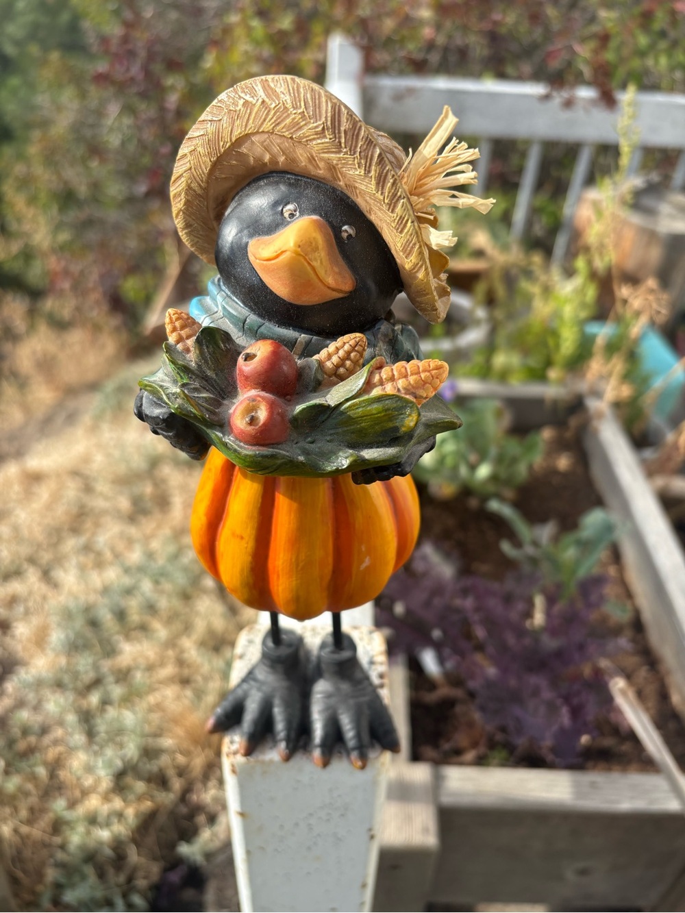 Fall Pumpkin Crow Shelf Figurine
